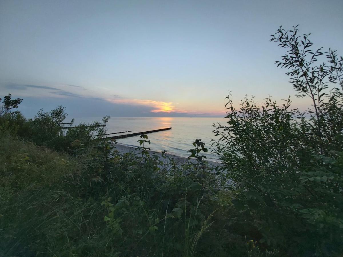 Willa Wieniotowo Apartamenty Przy Lesie I Plazy Ap Am Wald Und Strand Ustronie Morskie Buitenkant foto