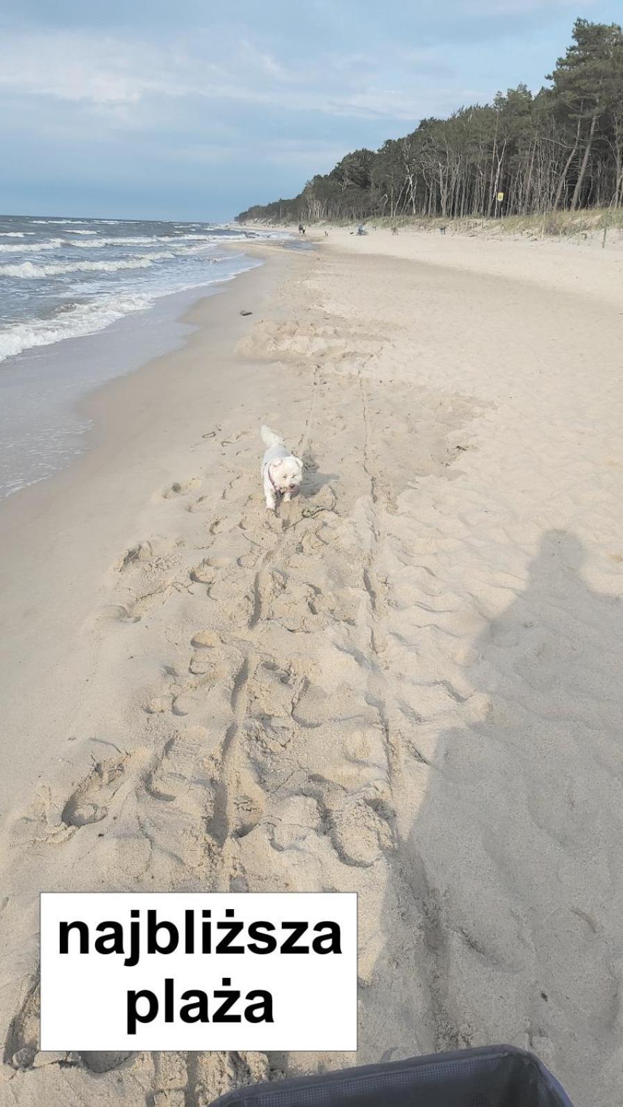 Willa Wieniotowo Apartamenty Przy Lesie I Plazy Ap Am Wald Und Strand Ustronie Morskie Buitenkant foto